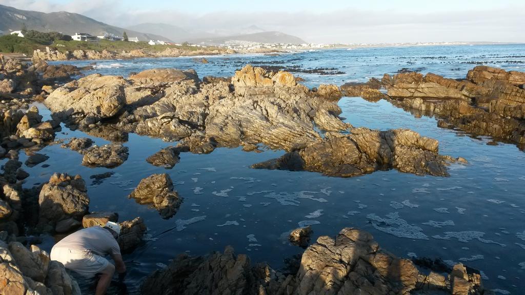 Strandloper Apartments Hermanus Kültér fotó